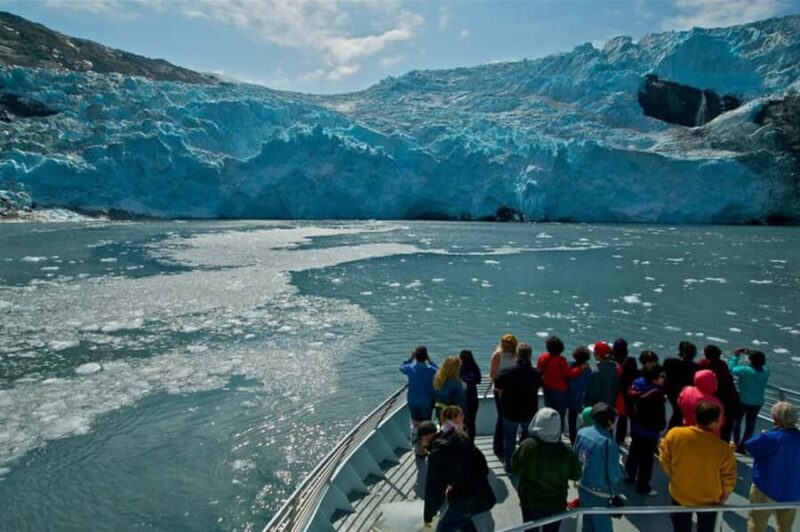 From Whittier: Glacier Quest Cruise with Onboard Lunch - Wildlife Encounters and Bird Watching
