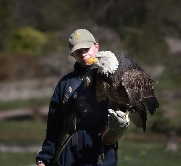 From Windermere: Mountain Passes & Muncaster Castle - Engaging Activities at the Medieval Weapons Hall