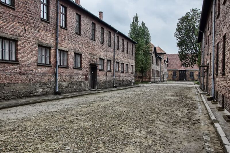 From Wrocaw: Full-Day Auschwitz-Birkenau Guided Tour - Who Should Consider This Tour?