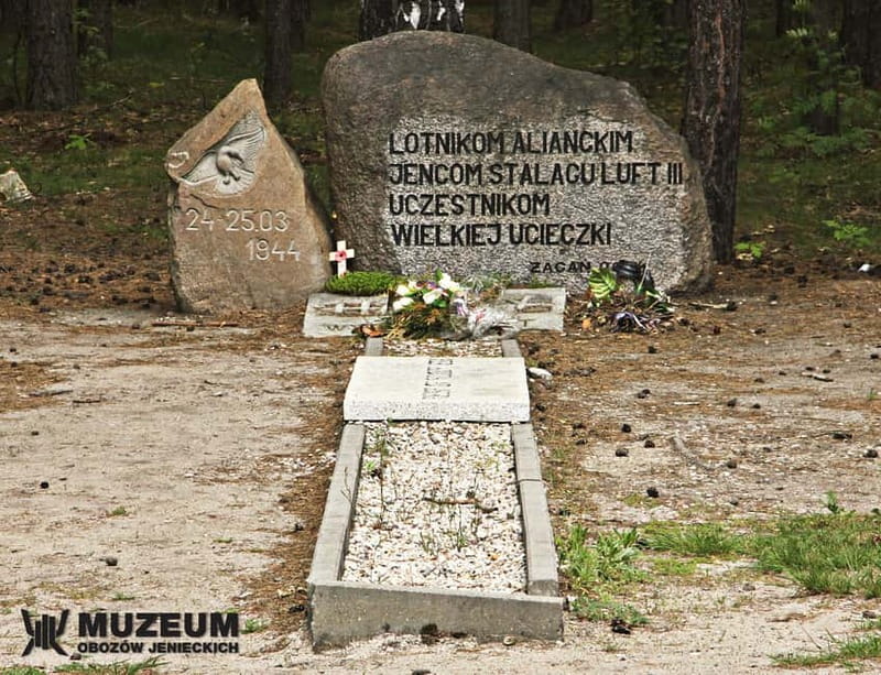 From Wrocaw: Stalag Luft 3 Great Escape Tour - Logistics and Practical Details