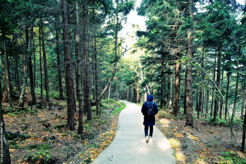 From Wroclaw: Full-Day Stolowe Mountains Trekking Tour - Why Choose This Tour?