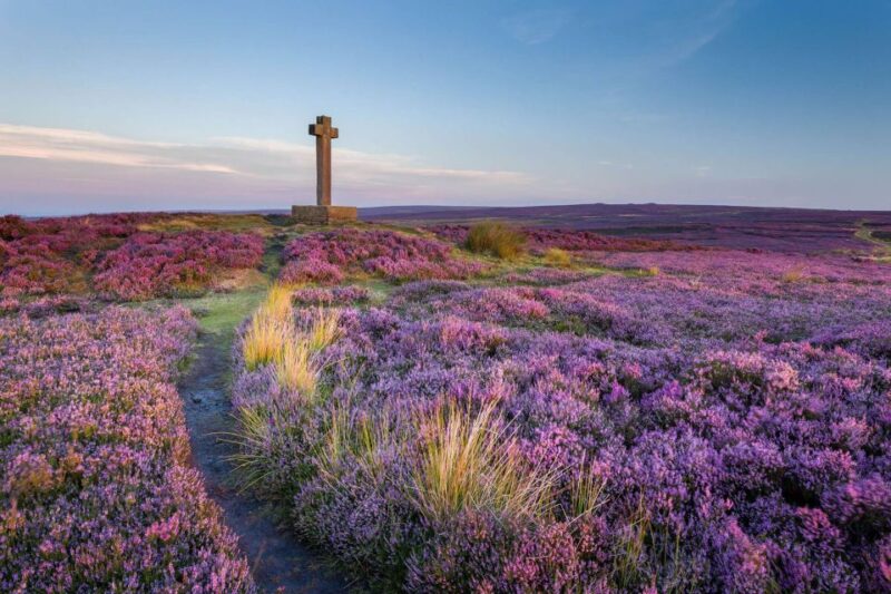 From York: Day Trip to Whitby and The North York Moors - Discover the Charm of North Yorkshire on a Day Trip from York