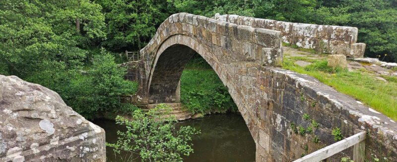 From York: North Yorkshire Moors, Villages & Whitby Day Tour - Return Journey with Scenic Views and Local Insights