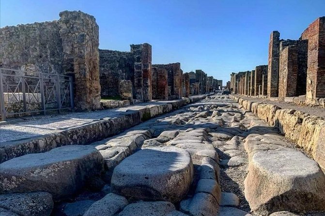 From your cruise ship in Naples to Pompeii Park, ticket and guide included - The Experience of the Private Official Guide