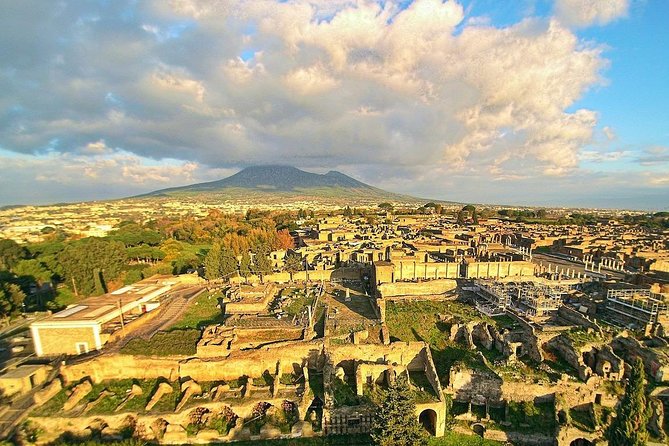 From your cruise ship in Naples to Pompeii Park, ticket and guide included - Accessibility and Practical Details