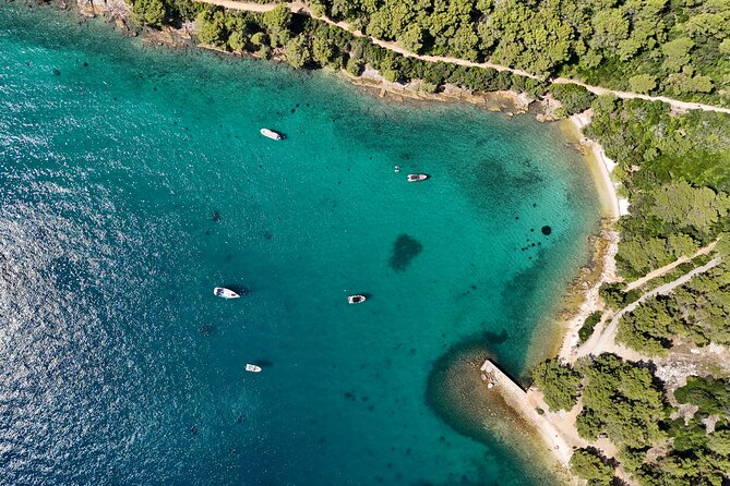 From Zadar: Island-Hopping Speedboat Tour with Drinks - Why Choose This Speedboat Tour from Zadar?