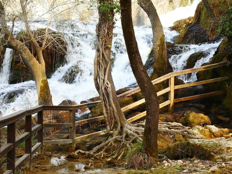 From Zadar: Krka National Park Full-Day Tour from Zadar - What the Tour Includes and What to Bring