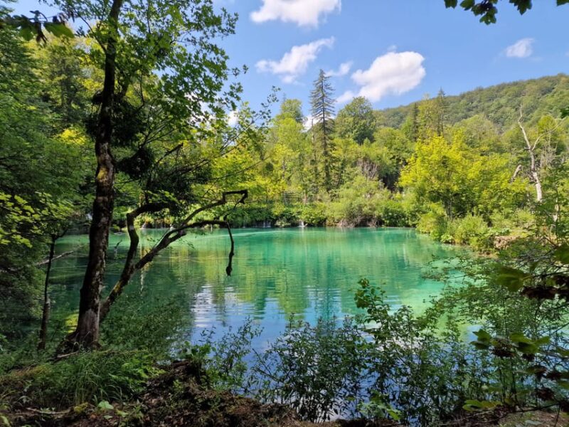 From Zadar: Plitvice Lakes Day Trip with Guide and Boat Tour - The Electric Boat Experience in the Park