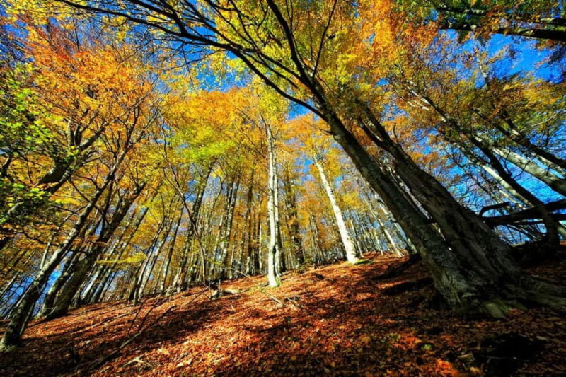 From Zadar: Plitvice Lakes National Park Day Trip +Boat Ride - Exploring the Underground Upljara Cave