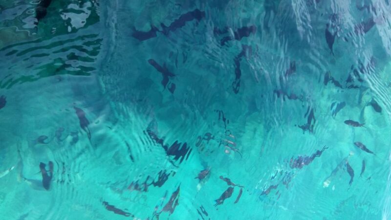 From Zadar: Private Speedboat Tour of Kornati National Park - Additional Water Breaks and Swimming Opportunities