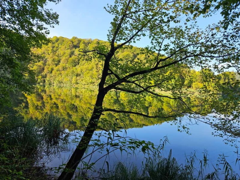 From Zadar: Scenic Private Tour of Plitvice Lakes - Booking Flexibility and Additional Information