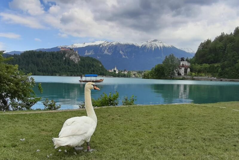 From Zagreb: Day Trip to Lake Bled and Ljubljana - Things to Keep in Mind