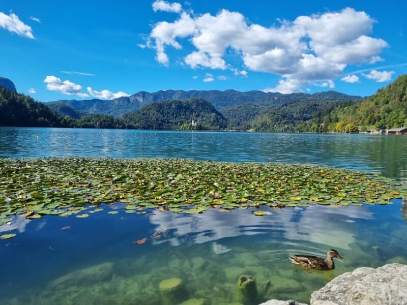 From Zagreb: Exclusive private Day Tour to Bled & Ljubljana - The Sum Up: A Well-Organized, Personal Introduction to Slovenia