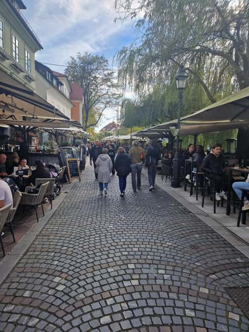 From Zagreb: Ljubljana and Lake Bled Private Day Tour - Key Points