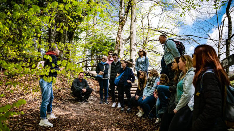 From Zagreb: Plitvice Lakes National Park Full-Day Tour - Customizing the Experience: Accessibility and Timing