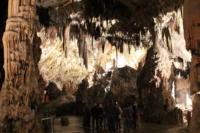 From Zagreb: POSTOJNA caves + LJUBLJANA Day Tour - Discovering Postojna Cave’s Underground World