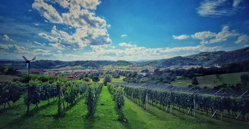 From Zagreb: Samobor & Plesivica Wine Road, Private - Admire the Rolling Hills of Plesivica Wine Road