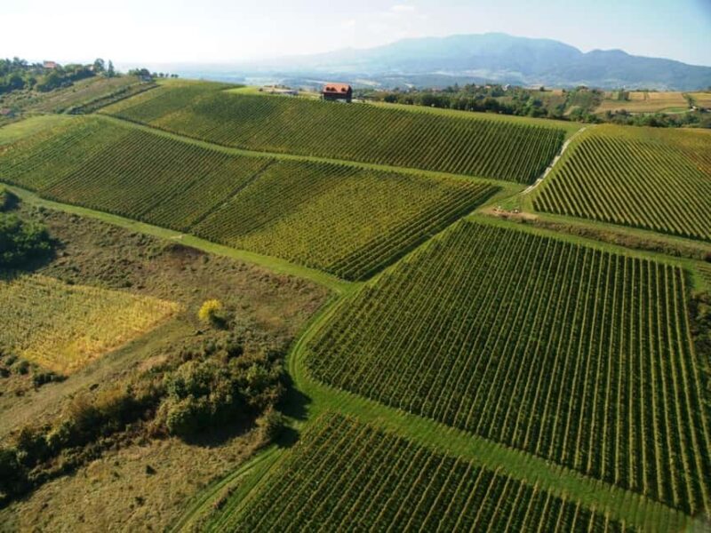 From Zagreb to Varadin: Market, Food & Winery Tasting Tour - Who This Tour Is Best Suited For