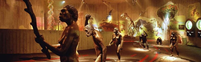 From Zagreb:Discover North Croatia, Museums, Castle and City - Discover North Croatia: Museums, Castle, and City in a Day