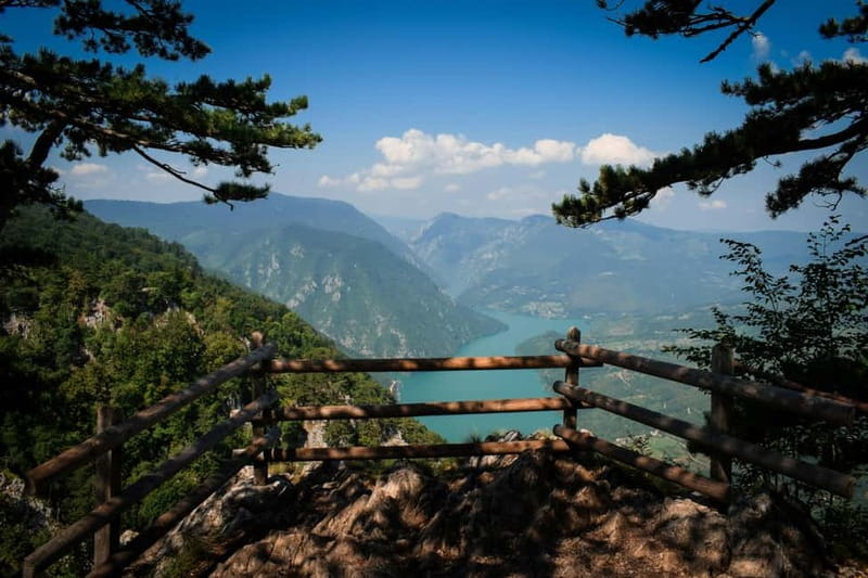 From Zlatibor/Uice: Mokra Gora & Tara National Park - Exploring Tara National Park’s Untamed Wilderness