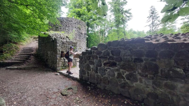 From Zug: Lorze Valley Forest Hike with Guide and Bus - From Zug: Starting Point and Transport Logistics