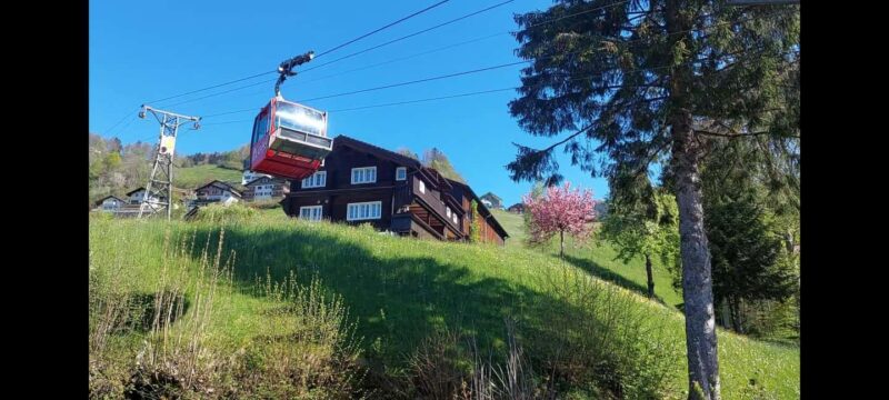From Zug: Mythen Region Guided Hike with Gondola Rides - Logistics and Practical Tips