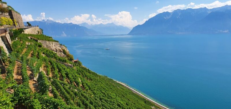 From Zurich: 7-Day Tour to Geneva with Tickets and Lodging - From Montreux to Lausanne and Genevas Historic Highlights