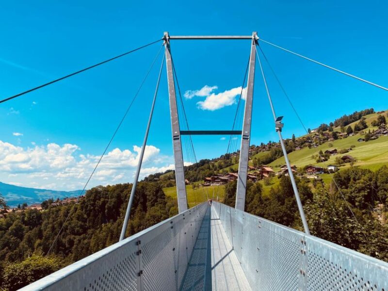 From Zurich: Crash Landing On You Locations in Interlaken - Why Choose This Tour for CLOY Fans and Scenic Lovers