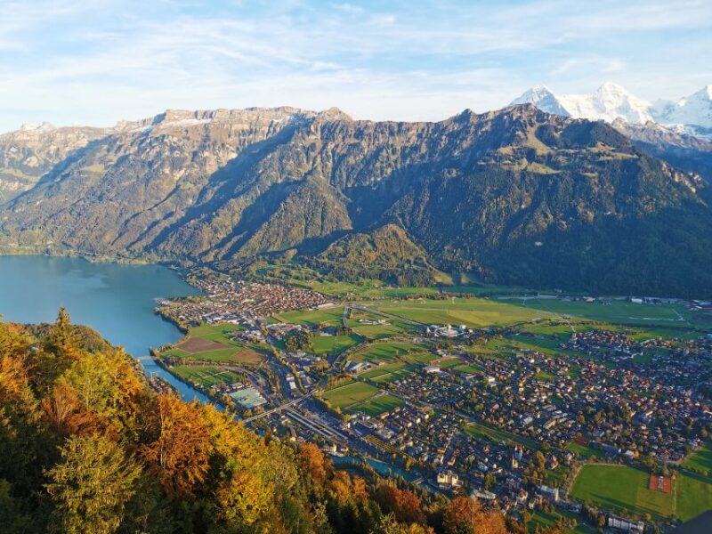 From Zurich: Day-Trip to Interlaken - The Role of the Driver-Guide and Local Tips