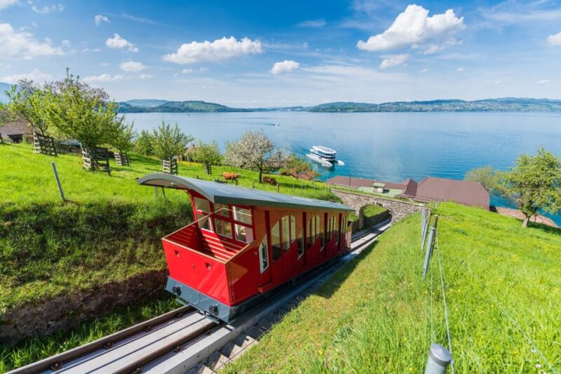 From Zurich: Funicular to Mt. Bürgenstock & Lake Lucerne - Limited Accessibility and What to Keep in Mind