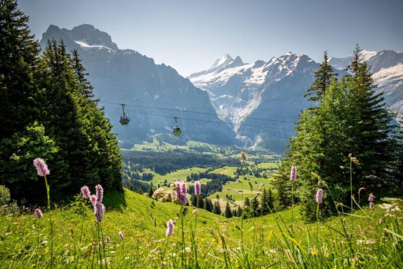 From Zurich: Grindelwald First Cable Car & Interlaken - Exploring Grindelwald Village
