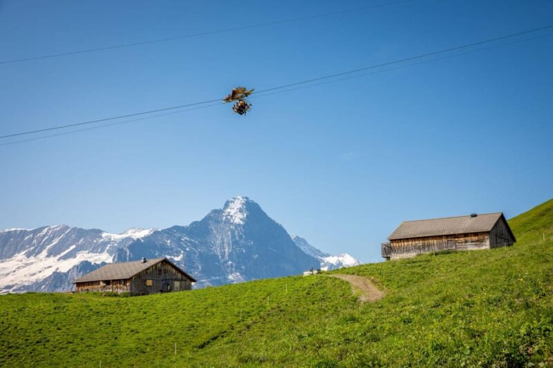 From Zurich: Grindelwald First Cable Car & Interlaken - Visiting Interlaken and the Swiss Heart of Central Switzerland
