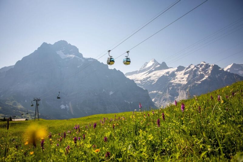 From Zurich: Grindelwald First Cable Car & Interlaken - Suitability and Accessibility