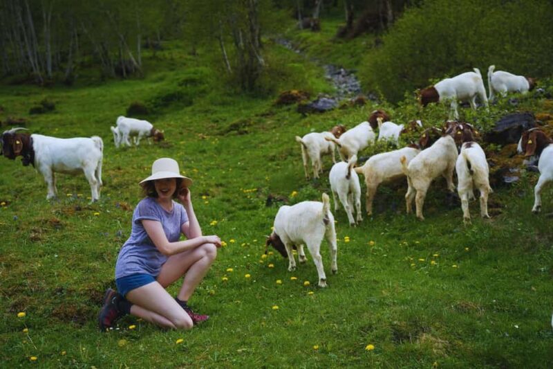 From Zurich: Hidden Swiss Gems Private Day Tour with a Local - Explore Switzerland’s Secret Spots on a Private Day Trip from Zurich