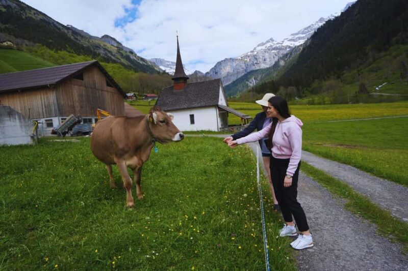 From Zurich: Hidden Swiss Gems Private Day Tour with a Local - Key Points