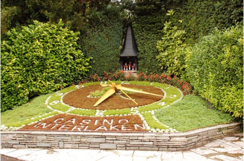 From Zurich: Interlaken Day Trip and Harder Kulm Viewpoint - The Panoramic View from Harder Kulm