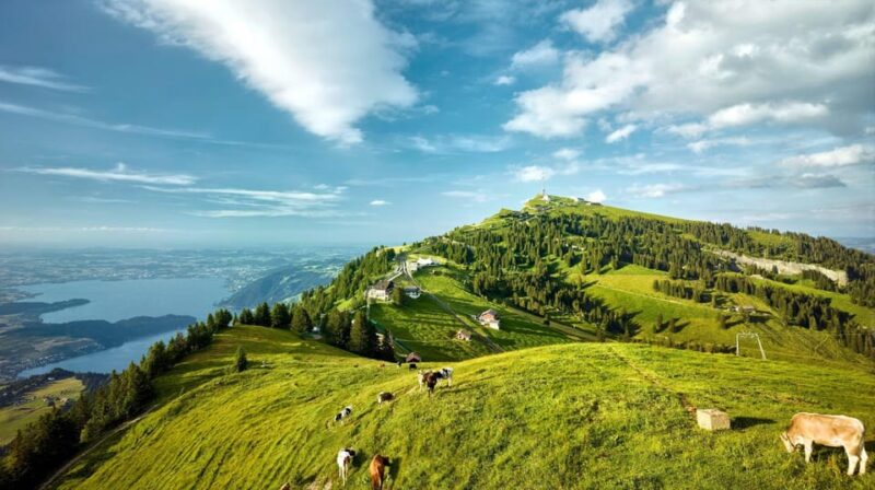 From Zurich: Mount Rigi and Lucerne Small-Group Day Trip - Return Journey and Group Pickup at Zurich