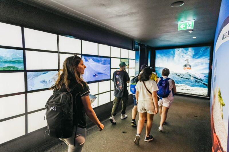 From Zurich: Mount Titlis with Ice Flyer & Lucerne Day Tour - Who Will Enjoy This Tour Most