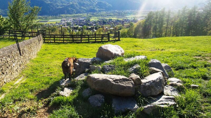 From Zurich: Private Trip to Liechtenstein and Heidiland - Exploring the Swiss and Liechtenstein Border in a Private Vehicle