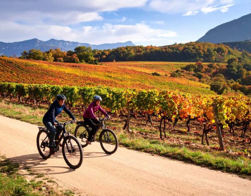 Fronsac: Mountain Bike Tour in the Vineyards & Tasting at La Closerie - Visiting La Closerie Cellar: Artisanal Wine Production