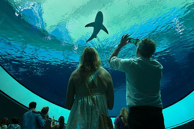 Frost Science Museum Admission Tickets - Key Points