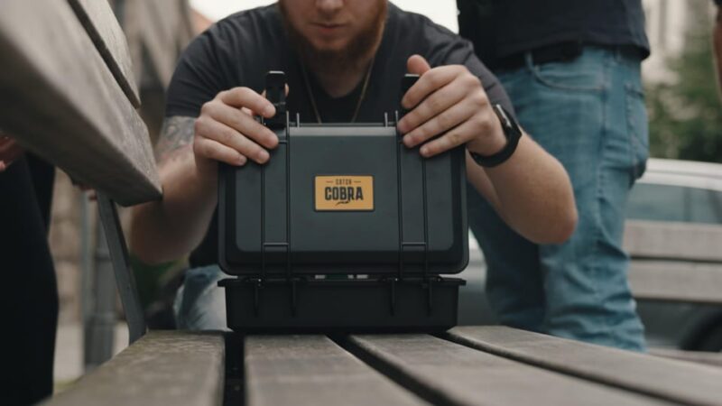 Frozen Mysteries: Catch Cobra & Savor Soft Ice in Dresden - Accessibility and Group Flexibility