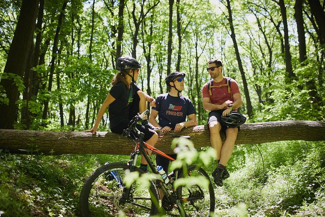 Fruka Gora Bike Tour - Starting in Sremski Karlovci: The Charming Beginning