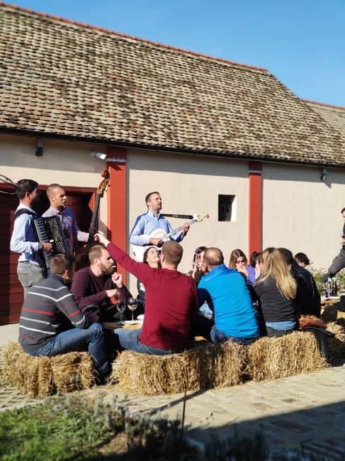 Fruka Gora Wine Tasting - Explore the Best of Fruka Goras Family Wineries and Vineyards