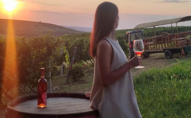 Fruka Gora Wine Tasting - Visiting Sremski Karlovci: A Medieval Serbian Treasure