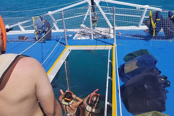 Ft Lauderdale to Key West with Optional Activities - Upgrading Your Experience with Guided Tours