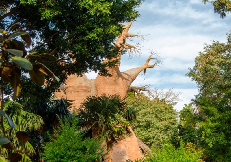 Fuengirola: Bioparc Entrance Ticket - Practicalities: Access, Rules, and Amenities