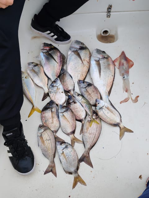 Fuengirola: Bottom Fishing with Jigging and Squid, 2, 4 and 6 hours - The Flexibility and Cancellation Policy
