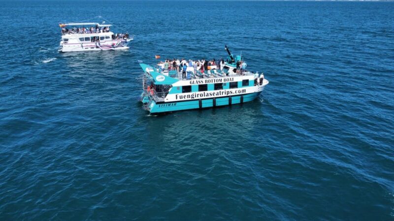 Fuengirola: Catamaran Tour to Spot Dolphins - Key Points