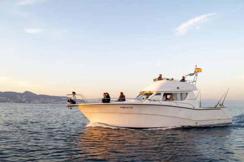 Fuengirola: Dolphin Watching Boat Trip  Fun for All Ages - The Vessel: Rodman 12.5R Boat Features